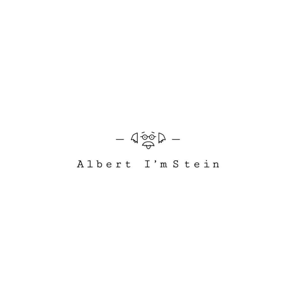 Brillenmerk: Albert I'mStein